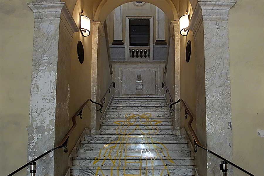3019.jpg