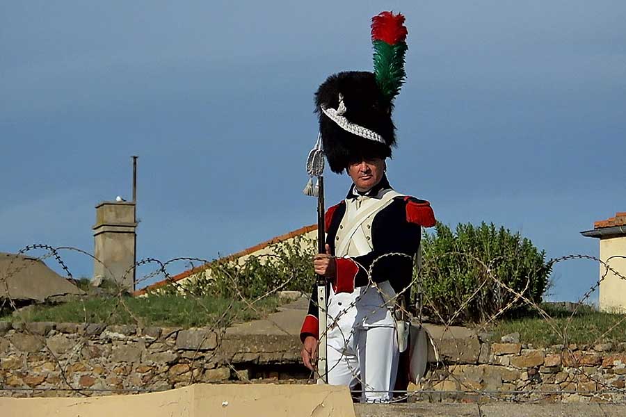 3190.jpg