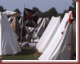 dennewitz-2003-thumb038.png