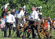 waterloo-05-410