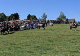 waterloo-05-412